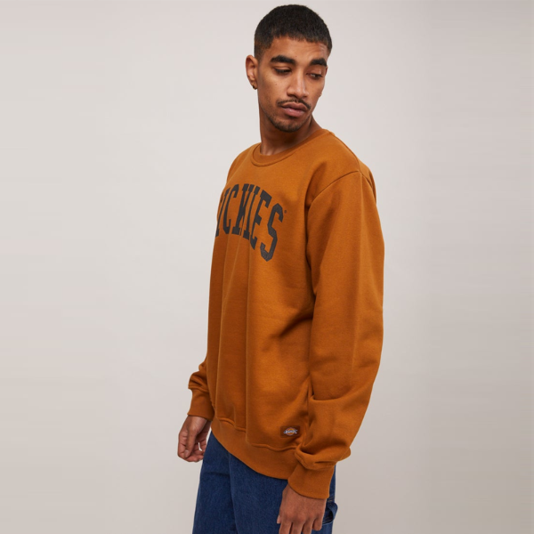 DICKIES LONGVIEW CREW NECK SWEATER - Brown Duck