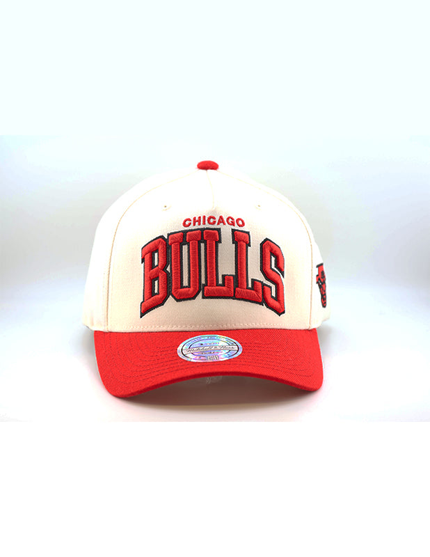 MITCHELL & NESS Team Arch 110 Bulls