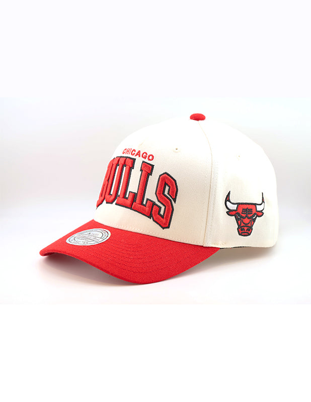 MITCHELL & NESS Team Arch 110 Bulls